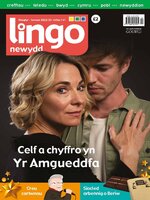 Lingo Newydd